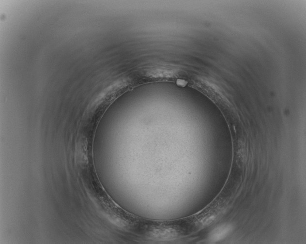 X0000062870547200601201757