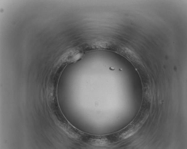 X0000062870548200601201757