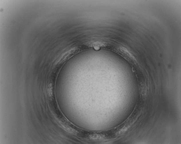 X0000062870549200601201757