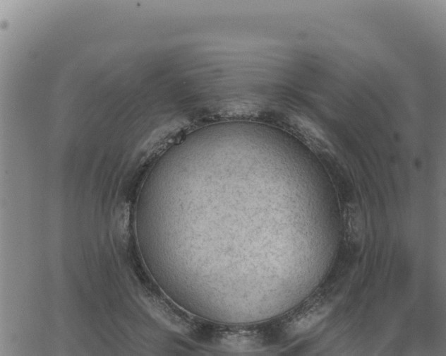 X0000062870550200601201757