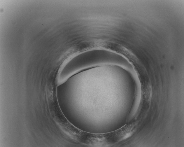 X0000062870552200601201757