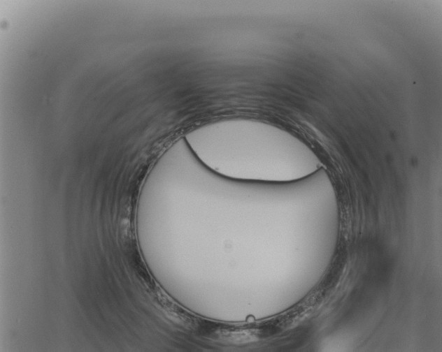 X0000062870553200601201757