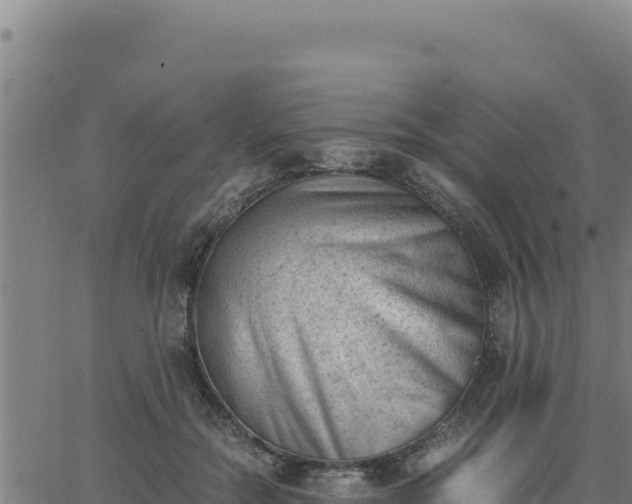 X0000062870554200601201757