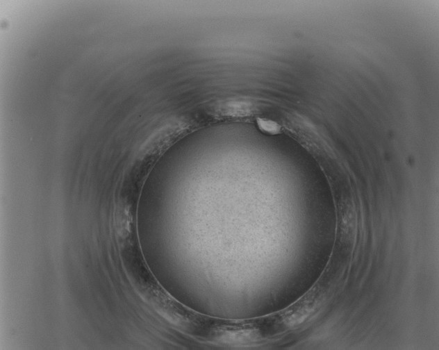 X0000062870555200601201757