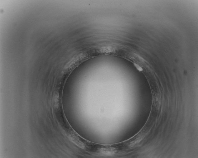 X0000062870556200601201757