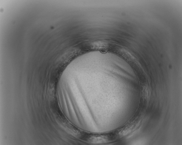 X0000062870557200601201757