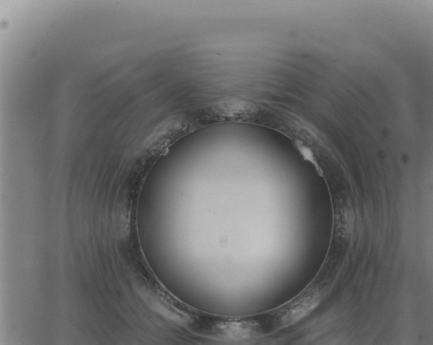 X0000062870558200601201757