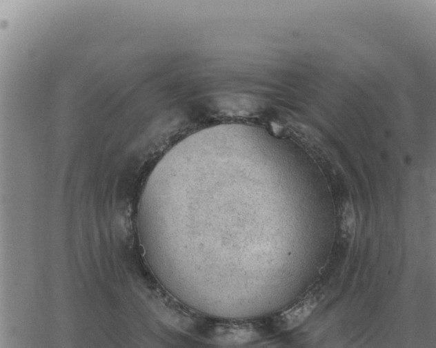 X0000062870559200601201757