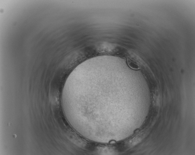 X0000062870561200601201757