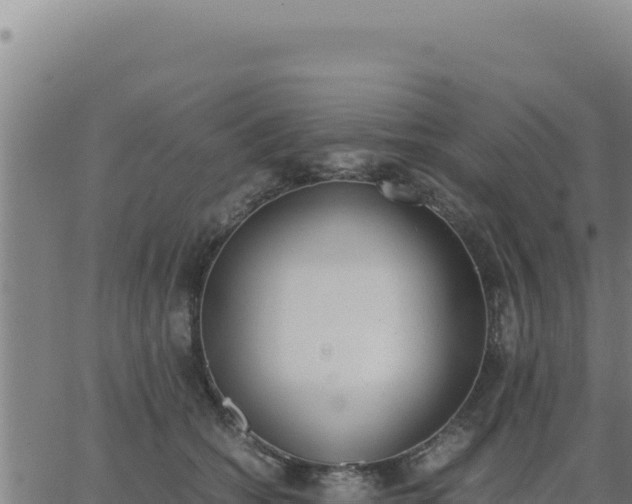 X0000062870562200601201757