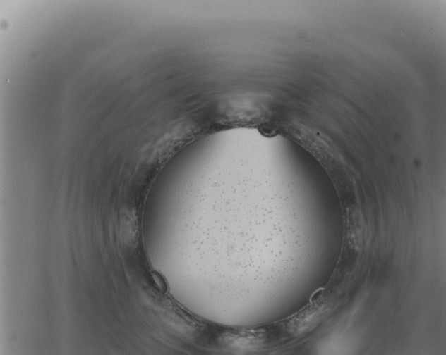 X0000062870563200601201757