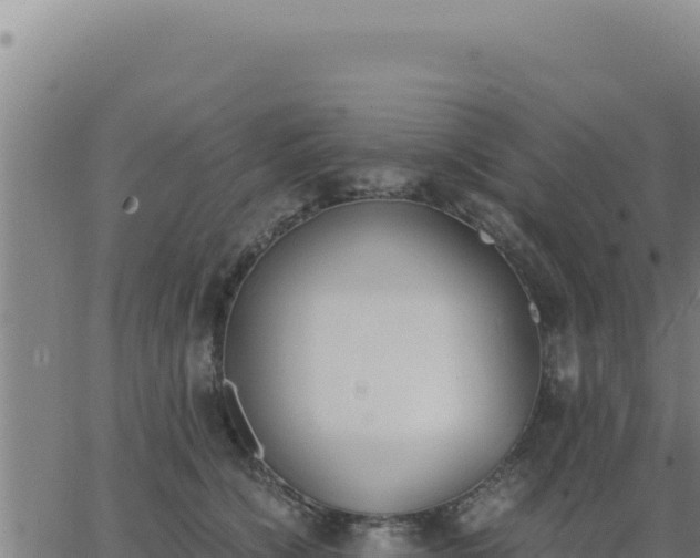 X0000062870564200601201757