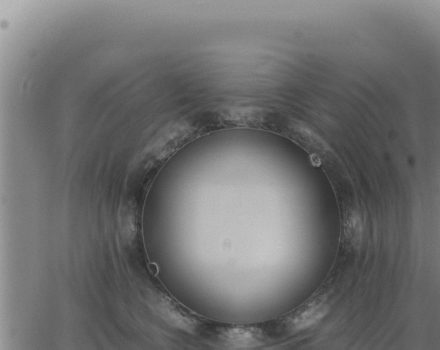 X0000062870566200601201757