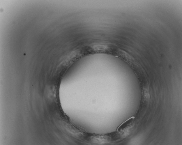 X0000062870567200601201757