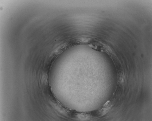 X0000062870568200601201757