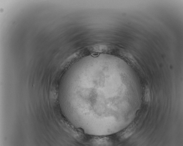 X0000062870569200601201757