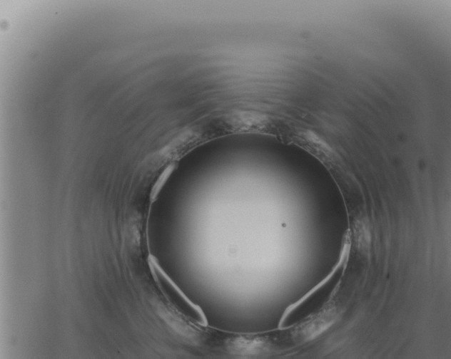 X0000062870570200601201757