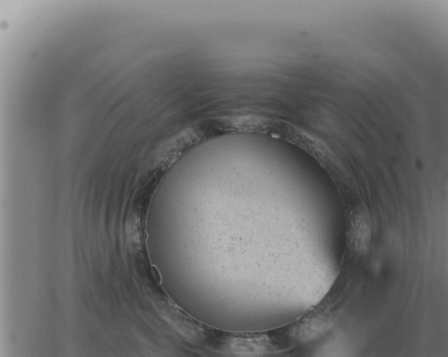 X0000062870571200601201757