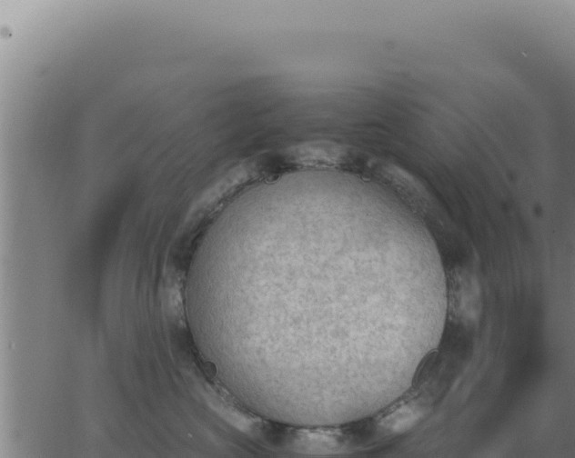 X0000062870573200601201757