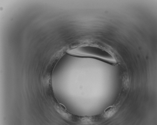 X0000062870574200601201757