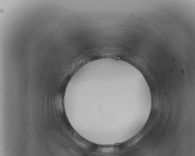 X0000062870575200601201757