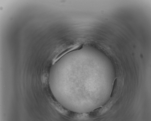 X0000062870576200601201757