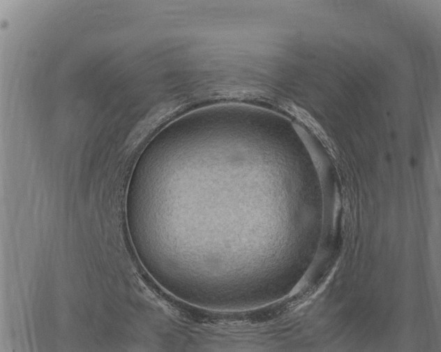 X0000062870577200601201756