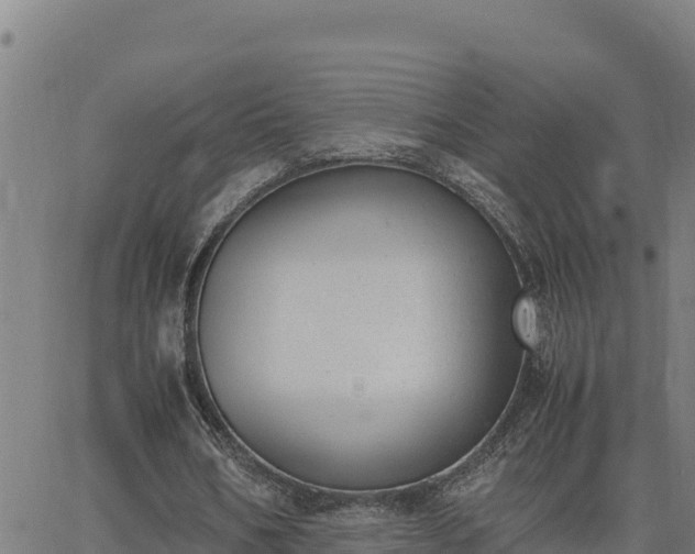 X0000062870578200601201756