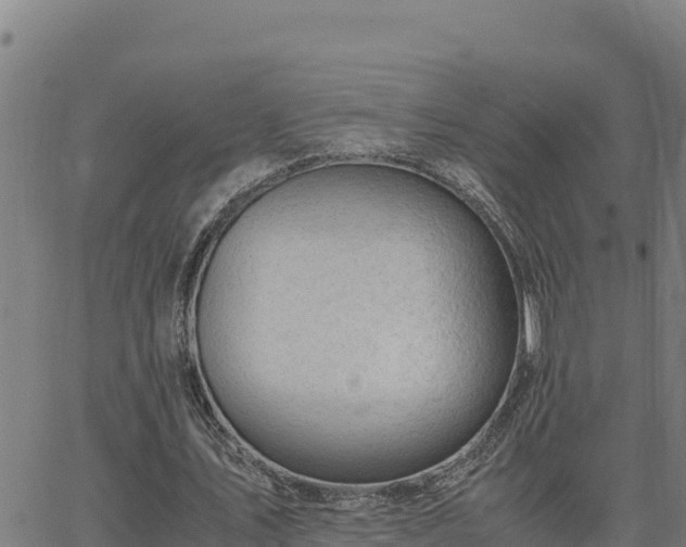 X0000062870579200601201756