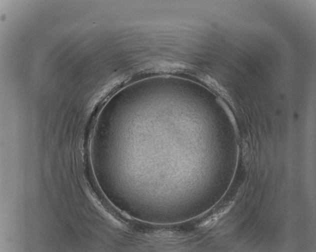 X0000062870581200601201756