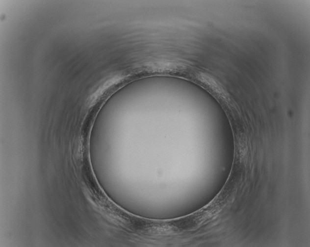 X0000062870583200601201756