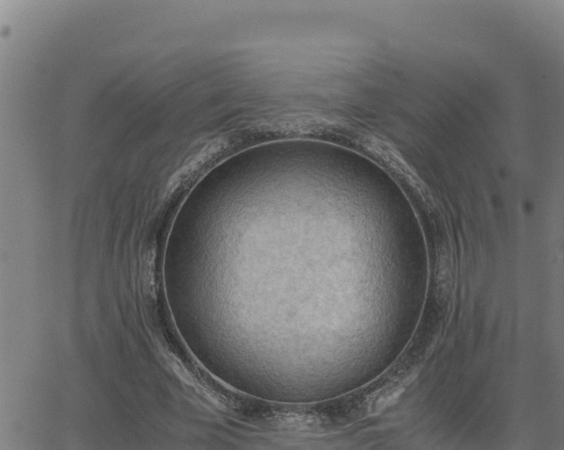 X0000062870585200601201756