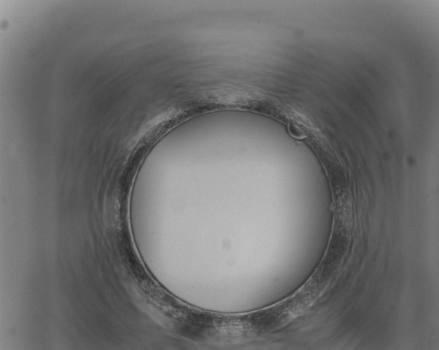 X0000062870587200601201756