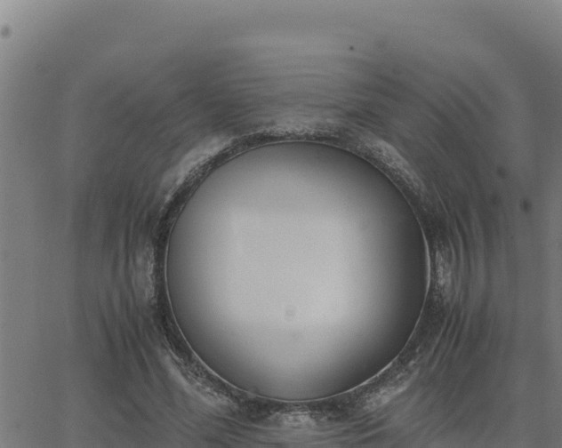 X0000062870588200601201756