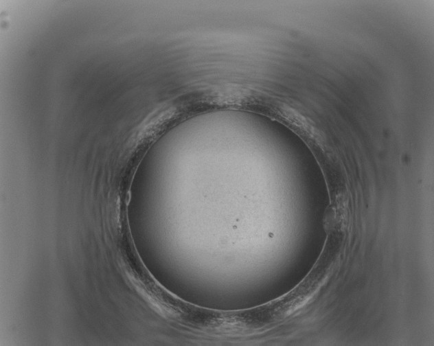 X0000062870589200601201756