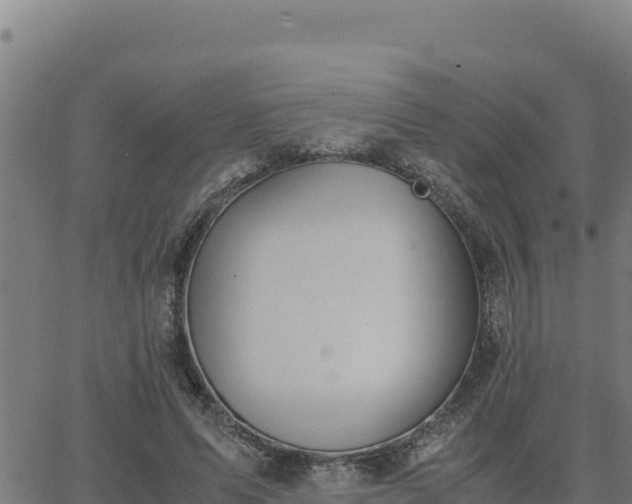 X0000062870591200601201756