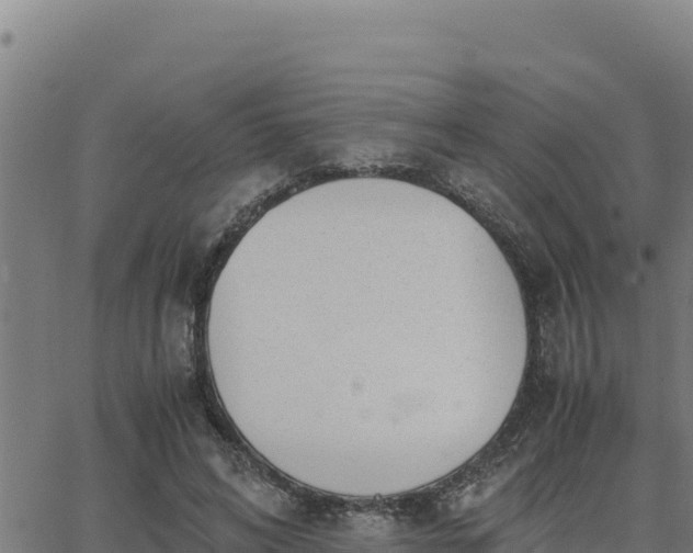 X0000062870592200601201756