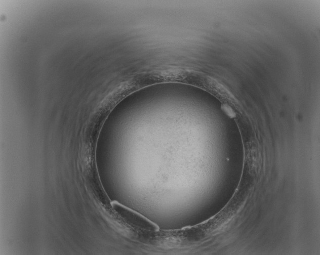 X0000062870593200601201756