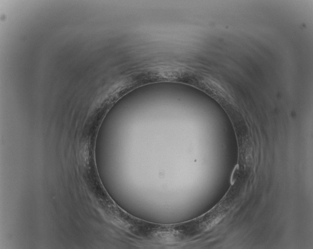 X0000062870595200601201756