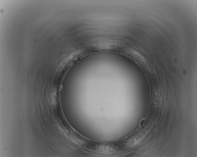 X0000062870596200601201756