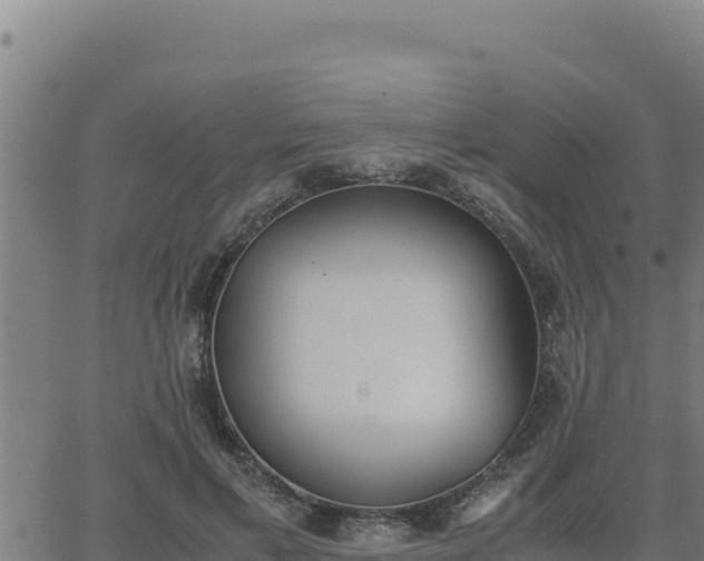 X0000062870597200601201756