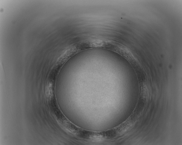 X0000062870598200601201756