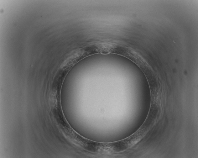 X0000062870599200601201756