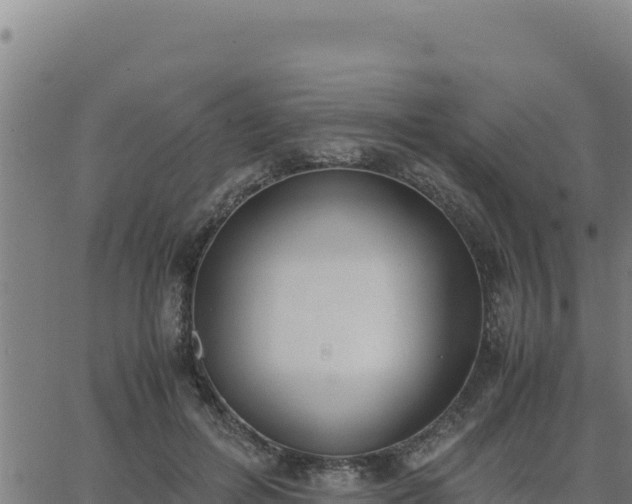 X0000062870600200601201756