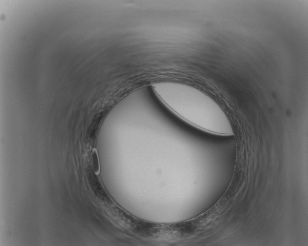 X0000062870601200601201756