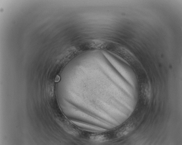 X0000062870602200601201756