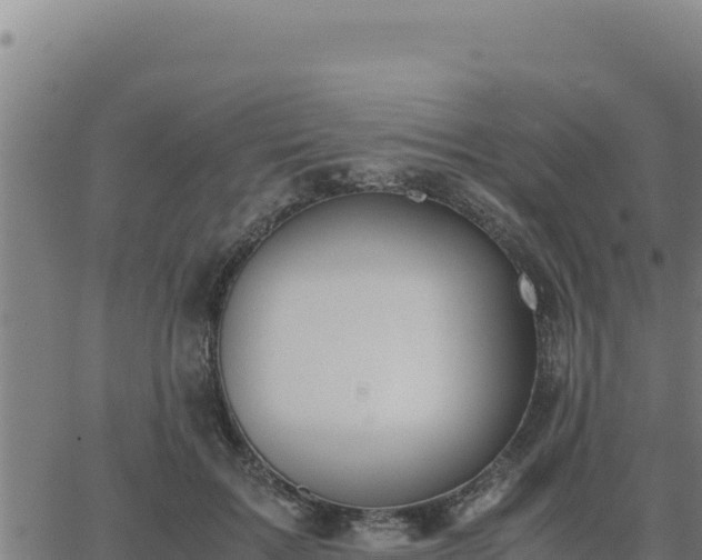 X0000062870603200601201756