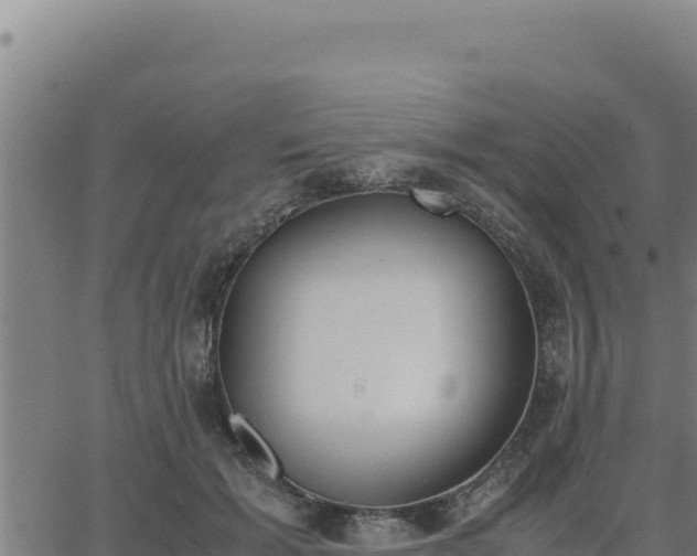 X0000062870605200601201756