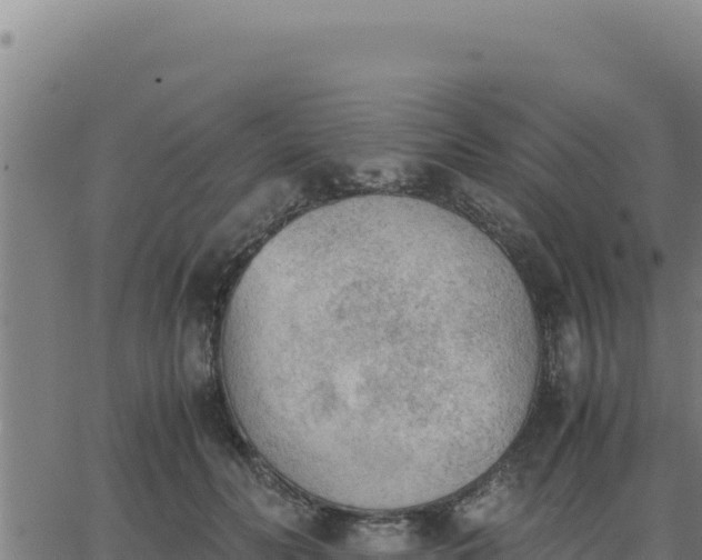 X0000062870606200601201756