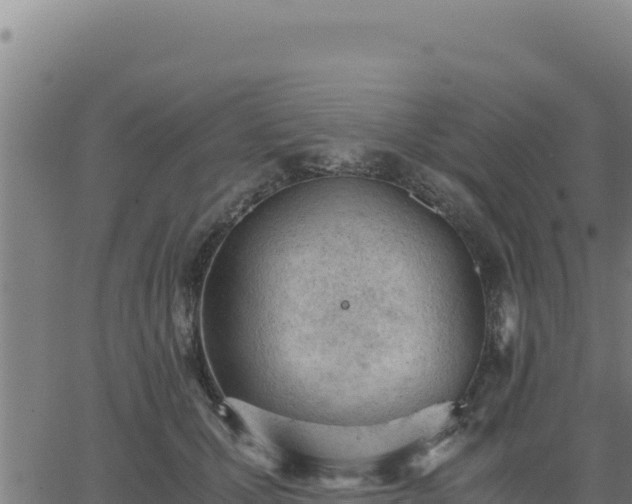 X0000062870607200601201756